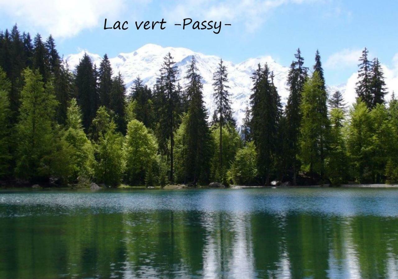Appartement T2+Cabine Independante Au Depart Des Telecabines Saint-Gervais/Bettex/Mont D'Arbois 외부 사진