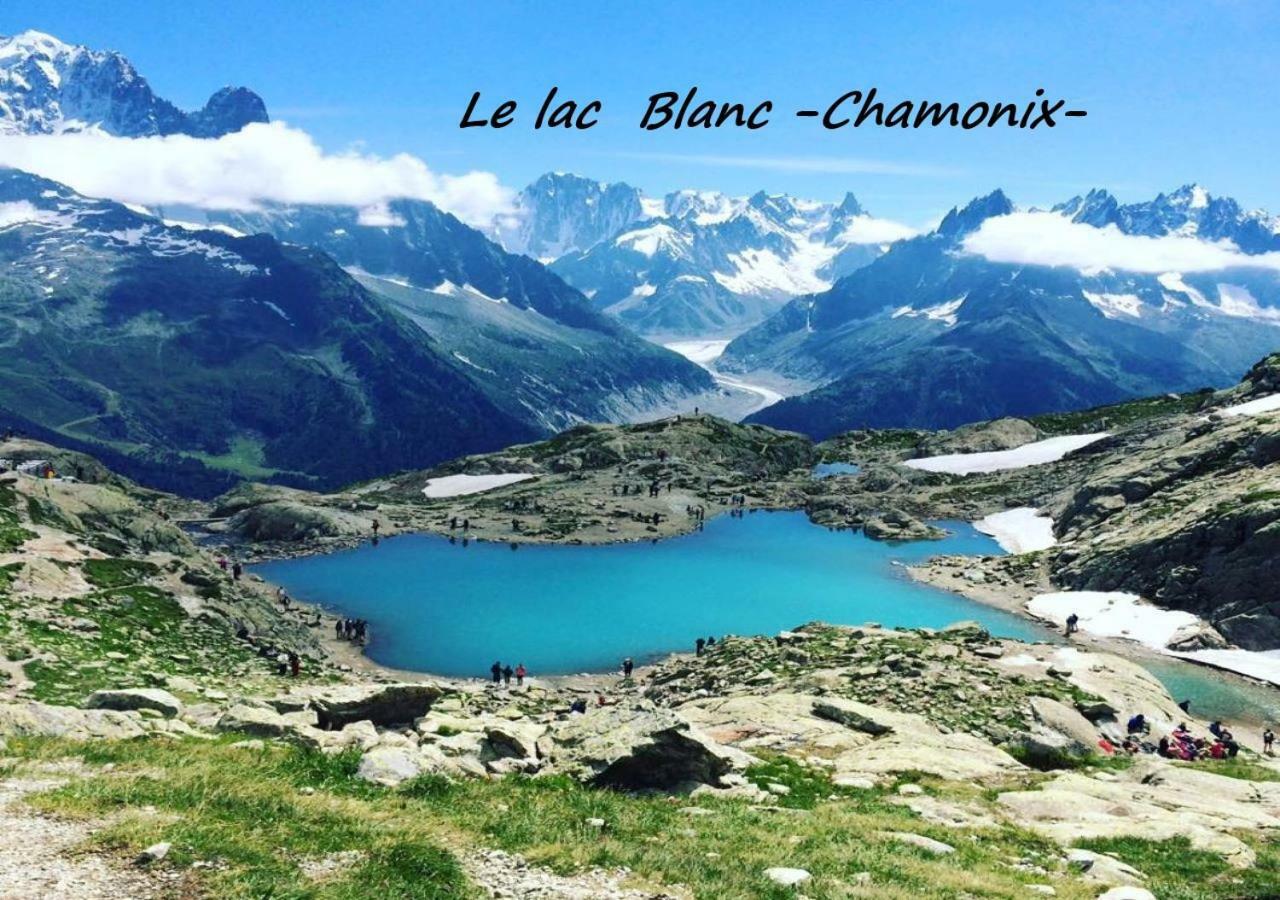 Appartement T2+Cabine Independante Au Depart Des Telecabines Saint-Gervais/Bettex/Mont D'Arbois 외부 사진
